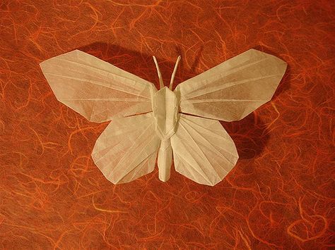 Jason Ku's Butterfly1 | I just had to try this one after see… | Flickr Origami Moth, Origami Insects, Origami Diagrams, Origami Artist, Origami Butterfly, Stag Beetle, Diy Butterfly, Origami Animals, Tracing Paper