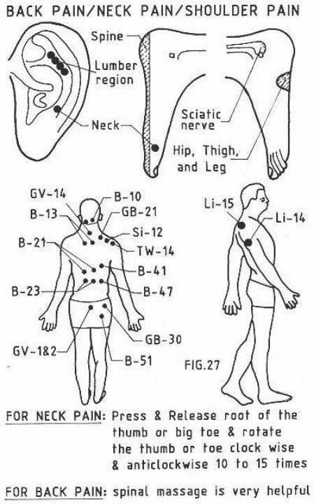 WIN! the one for neck pain worked lovely. - Pressure points for pain relief Shiatsu Massage Acupressure, Dumaguete, Reflexology Chart, Reflexology Massage, Shiatsu Massage, Joints Pain Relief, Acupuncture Points, Acupressure Points, Shoulder Pain