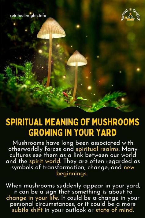 The Spiritual Meaning of Mushrooms Growing in Your Yard Witch Meaning, Journey Tattoo, Mushrooms Growing, Native American Totem, Shamanic Journey, Magical Herbs, Magick Book, Witchcraft Spell Books, Animal Symbolism