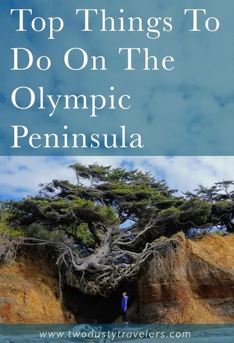 Olympic Peninsula Pinterest Image - Two Dusty Travelers - Things to Do on the Olympic Peninsula Olympic Peninsula Road Trip, Things To Do In Forks Washington, Pnw Trip, Olympic Peninsula Washington, Mt Rainer, Washington Trip, Native American Reservation, Olympic National Forest, Famous Trees