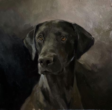 Artists Room, Jennifer Gennari, Pet Portraits Photography, Giant Schnauzer, Portraits Photography, Animals Artwork, Black Labrador, Black On Black, Black Lab