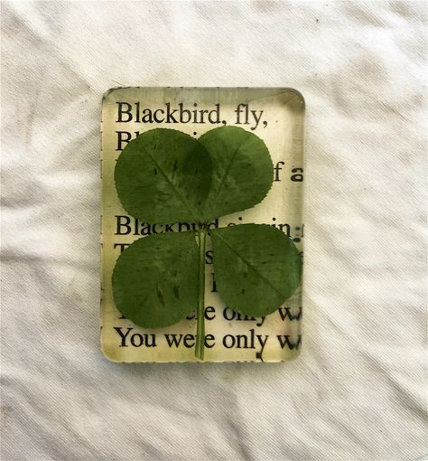 Queen Of Tears Lucky Leaf, Four Leaf Clover Aesthetic, Clover Resin, Galaxy Flowers, With The Beatles, Lucky Leaf, Soul Songs, Lucky Clover, Four Leaves