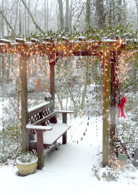 Arbor Christmas Decorating Ideas, Christmas Arbor Decorating, Christmas Arbor, Garden Arbor Bench, Christmas Backyard, Patio Yard Ideas, Arbor Bench, Lodge Ideas, Christmas Arch