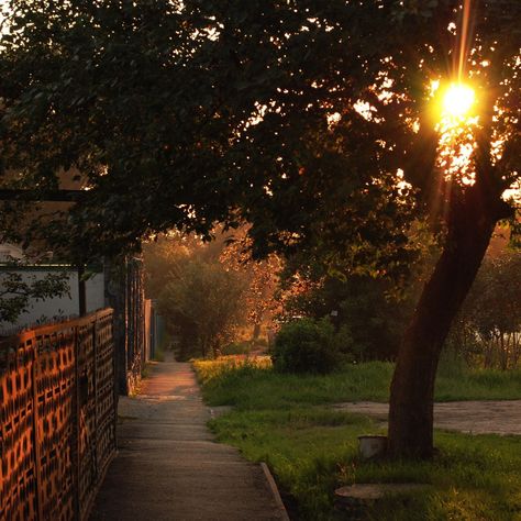 Orange Aesthetic, Night Aesthetic, City Aesthetic, Nature Aesthetic, Pretty Places, Fantasy Landscape, Summer Aesthetic, Fresh Air, Pretty Pictures