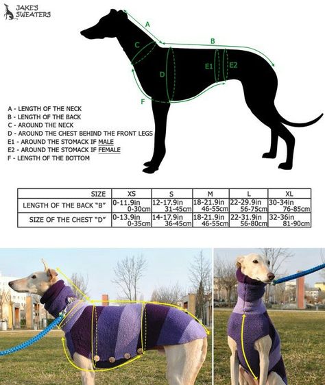 Greyhound Dog Sweater, Greyhounds Clothes, Crochet Dog Sweater Free Pattern, Dog Sweater Crochet Pattern, Crochet Dog Sweater, Dog Clothes Patterns, Grey Hound Dog, Dog Jacket, Dog Wear