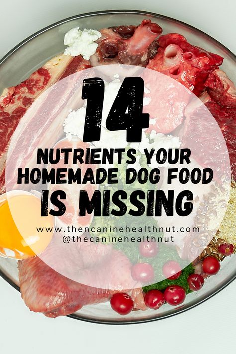 Limited Ingredient Dog Food Recipes, Diy Dog Food Recipe For Allergies, All Natural Dog Food Recipes How To Make, Diy Dog Food Recipes Homemade, Healthy Homemade Dog Food For Older Dogs, Nutritional Homemade Dog Food, Diy Dog Food Small Breed, Homemade Dog Food Puppy, Making Dog Food For Small Dogs