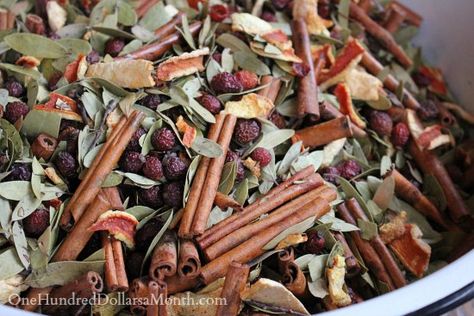 Make Your Own Cinnamon Potpourri - One Hundred Dollars a Month Potpourri Diy Gift, Potpourri Diy, Diy Cinnamon, Homemade Food Gifts, Jelly Bean, Diy Stuff, Homemade Skin Care, Homemade Christmas, Frugal Living