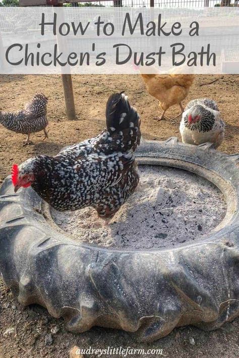 Ideas for how to make a chickens dust bath using sand, wood ash, and diatomaceous earth. #audreyslittlefarm #dustbath #backyardchickens Dust Bath For Chickens, Reban Ayam, Cute Chicken Coops, Chicken Coop Garden, Backyard Chicken Coop Plans, Diy Chicken Coop Plans, Chicken Coop Run, Dust Bath, Backyard Chicken Farming