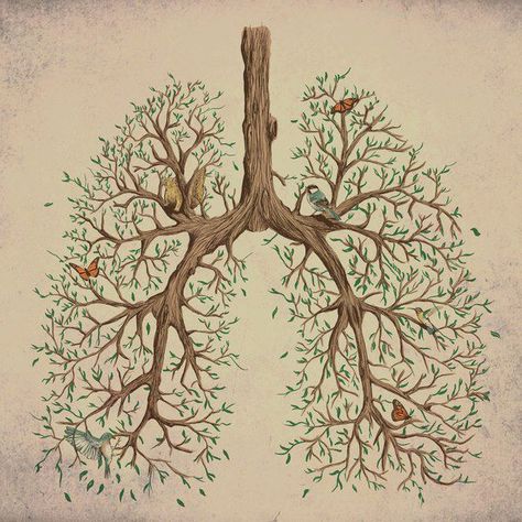 lungs as trees, bronchial branches Lungs Drawing, Tumblr Tattoo, Lungs Art, Poster Grafico, Breathing Meditation, Medical Art, Etsy Art, Anatomy Art, Lungs