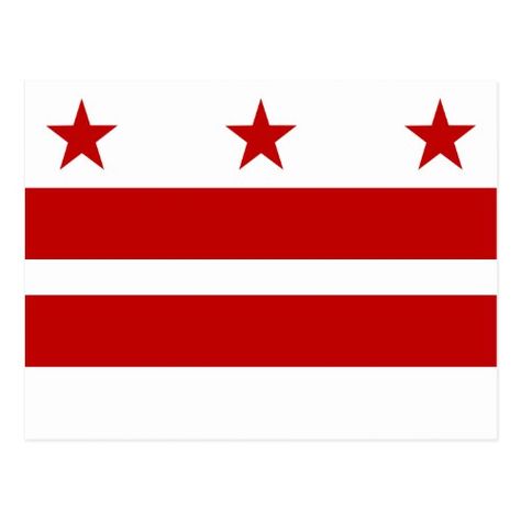 Flag of Washington, D.C. Postcard Washington Dc Flag, Dc Flag, Fashion Logo Branding, Usa States, Flag Art, Patriotic Flag, Rock Painting Designs, Painting Designs, Patriotic Gifts