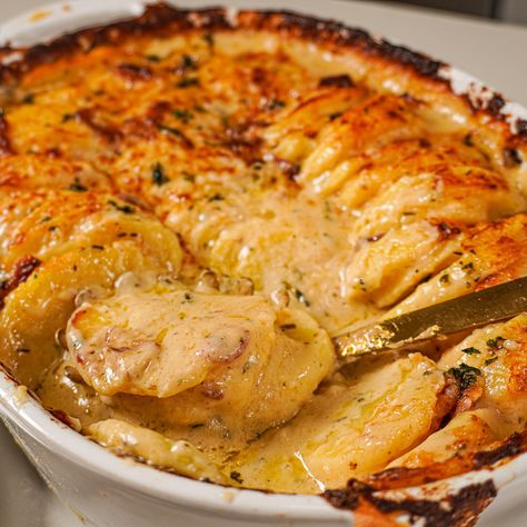 Cheesy Au Gratin Potatoes Thanksgiving Potatoes Au Gratin, Good Recipes For Thanksgiving, Best Potatoes Au Gratin Recipe, Any Gratin Potatoes, Cheese Au Gratin Potatoes, Cheesy Potato Au Gratin, Different Thanksgiving Side Dishes, Cheesy Potato’s Au Gratin, Thanksgiving Cheesy Potatoes