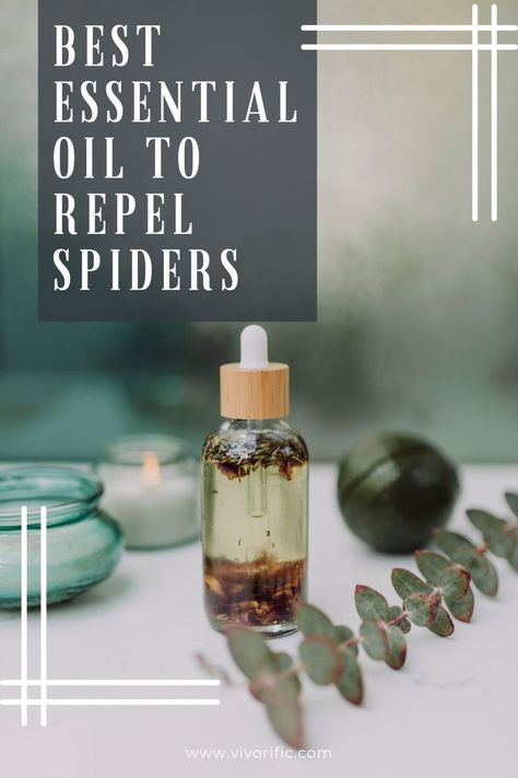 ✋ Outsmart Spiders with This Magical Essential Oil to Repel Them Instantly! 🌿?🕷 It's time to wave goodbye to spider encounters! Discover the incredible power of our recommended #EssentialOilToRepelSpiders and reclaim your space. Click now and experience the magic for yourself! #SpiderRepellent #ByeByeSpiders Spider Repellent, Spiders Repellent, Wave Goodbye, Peppermint Oil, Best Essential Oils, Oil Uses, Essential Oil Uses, Spiders, Repellent