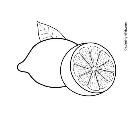 Lemons fruits coloring pages for kids, printable free Lam "ل ... Fruits Coloring Pages, Lemon Drawing, Vegetable Coloring Pages, Fruit Coloring Pages, Fruits Drawing, Kid Coloring Page, Applique Patterns, Limes, Printables Kids