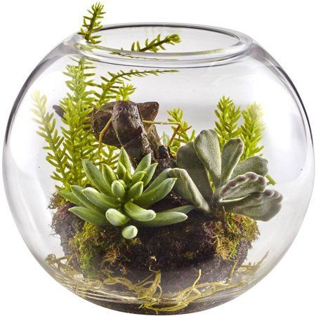 Artificial Plants Indoor, Artificial Plant Wall, Artificial Plants Outdoor, Faux Tree, Silk Plants, Artificial Succulents, Succulent Terrarium, Decor Pillows, Clear Glass Vases