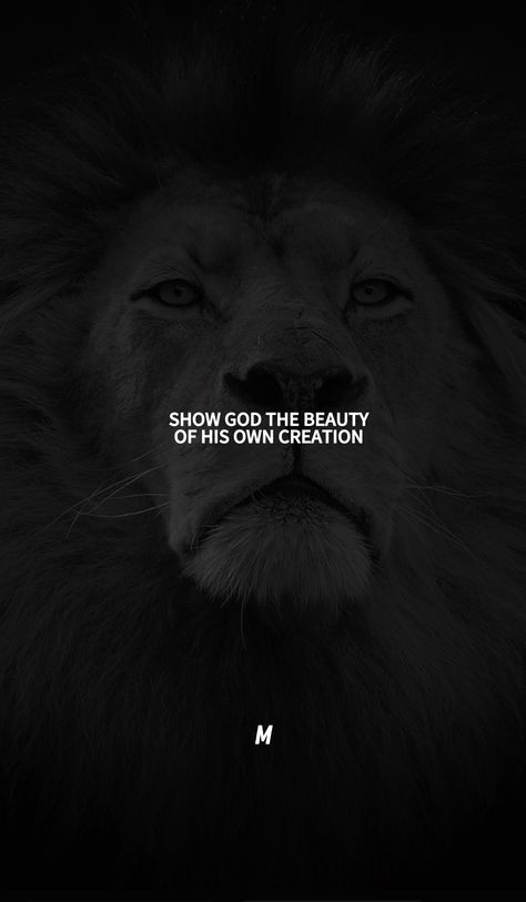 Background Jesus, Picture Motivation, Lion Background, Hard Hitting Quotes, Hitting Quotes, School Life Quotes, Gourmet Food Plating, Geeta Quotes, Lion Quotes