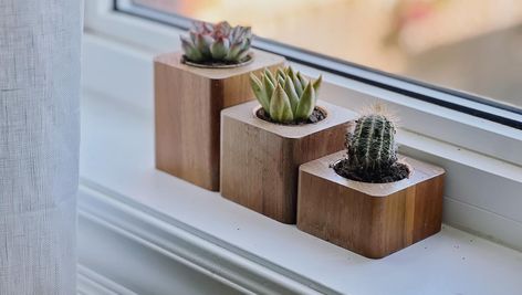 🌿🌟 Add a touch of elegance to your space with our unique set of three solid wood succulent planters! 🌟🌿 Showcase your succulents in style with these beautifully handcrafted planters. Made from high-quality solid wood, each planter features a minimalist design that stands out from the rest. Perfect for windowsills, desks, or any corner that needs a splash of greenery. #SucculentPlanters #WoodenPlanters #HomeDecor #Handcrafted #IndoorPlants #MinimalistDesign #NaturalBeauty #PlantLovers #Green... Wood Succulent Planter, Pot Diy, Wooden Ideas, Plant Pot Diy, Wood Pots, Succulent Planters, Wooden Planter, Wooden Planters, Succulent Planter