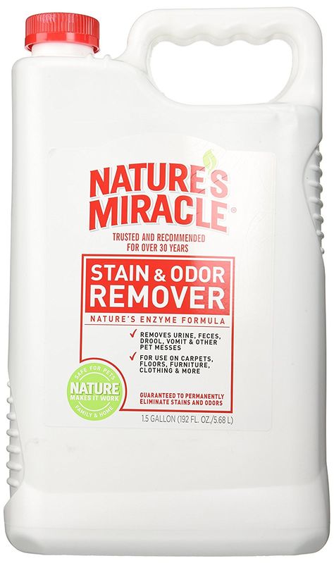 Nature's Miracle Pet Stain and Odor Remover, 1-1/2-Gallon * Read more reviews of the product by visiting the link on the image. #Cats Urine Odor, Cats Stuff, Dog Urine, Best Cleaner, Laundry Stains, Cat Odor, Dog Pee, Pet Urine, Image Cat