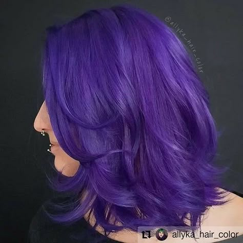 Dark Purple Hair Color Ideas, Dark Purple Hair Color, Indigo Hair, Purple Hair Color Ideas, Hair Colour Inspo, Purple Hair Color, Dark Purple Hair, Dyed Hair Purple, Messy Haircut