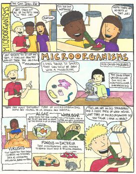 Key Concepts: microorganisms, microbes, bacteria, fungus, viruses, algae, water bear, unicellular, multicellular, decomposers, diseasesThere is a whole different world of living organisms out there we are unable to see. This comic illustrates the world of microorganisms, and mirrors an idea for possible classroom "pet" opportunity. School Comics, Classroom Pets, Science Comics, Cool School, Living Organisms, Doodle Notes, Reluctant Readers, Visual Learning, Food Web