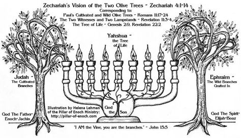 7 Branch Menorah Meaning | Zechariah’s Vision Of The Menorah as a Symbol of Israel : Menorah Meaning, 7 Branch Menorah, Tree Of Life Meaning, Jewish Beliefs, Life Meaning, Revelation Bible, Hebrew Roots, Bible History, Jewish History