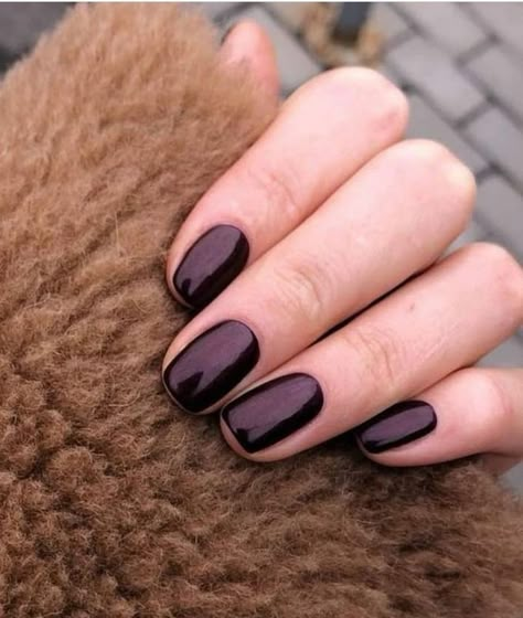 Short Dark Gel Nails, Green Nails Xmas, Dark Gel Nails Short, Simple Nails Christmas, Pedicure Nail Colors, Dark Short Nails, Xmas Nails Simple, December Nails Red, Simple December Nails