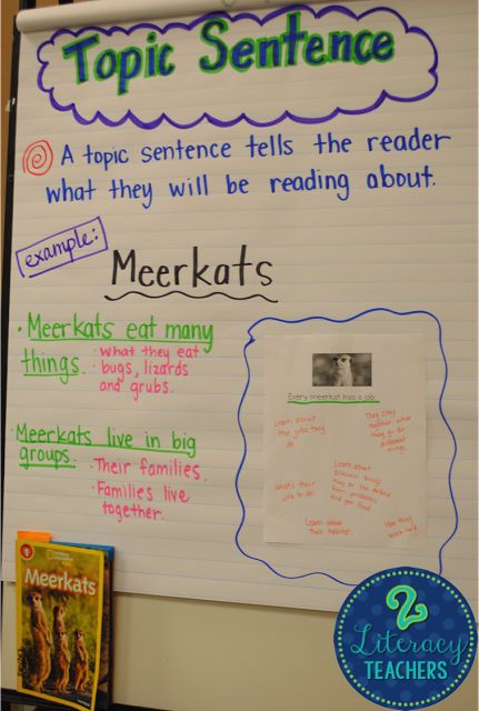 Topic Sentences and Owls!!  by 2 Literacy Teachers! What Is A Topic Sentence, Topic Sentence Anchor Chart, Topic Sentences Anchor Chart, Writing Topic Sentences, Sentence Anchor Chart, Paragraph Structure, Tutoring Ideas, Writing Mini Lessons, Primary Writing