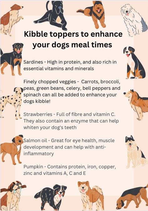 Food Toppers For Puppies, Kibble Toppers For Puppies, Dog Kibble Topper, Kibble Toppers For Dogs, Dog Food Toppers Homemade, Dog Meal Toppers, Food Toppers For Dogs, Kibble Toppers, Dog Food Toppers