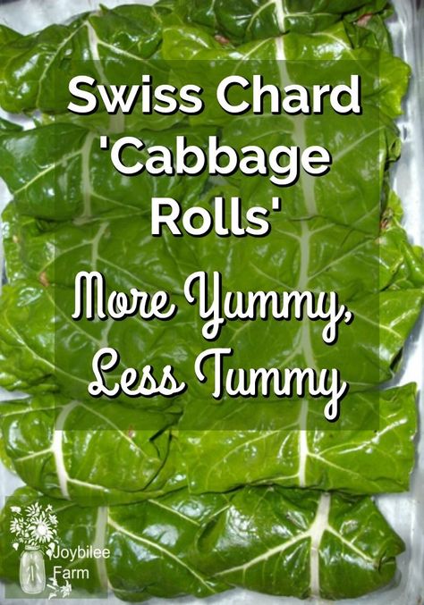 Swiss chard is a tasty and healthy substitute for cabbage in cabbage rolls.  This easy and delicious recipe will please your whole family. Swiss Chard Rolls, Chard Rolls, Farm Diy, Swiss Chard Recipes, Growing Corn, Scratch Cooking, Chard Recipes, Healthy Substitutions, Ground Lamb