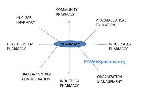 "The Exciting World of Pharmacy in Pakistan" Opening shot: A montage of images of different pharmacies and medical facilities in Pakistan. Narrator: "Welcome to the exciting world of pharmacy in Pakistan. Pharmacy is a vital profession that plays a crucial role in the healthcare system of our country. In this video, we'll explore the various opportunities and career paths available for pharmacists in Pakistan." Pharmacy Day Poster, Role Of Pharmacist, Pharmacy Skincare, Career Path, Health System, Healthcare System, Pharmacist, Health Education, Pharmacy