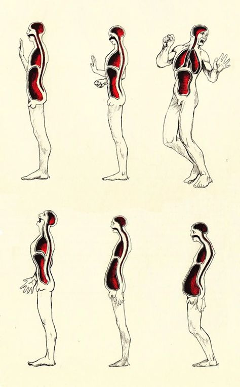 Emotional Anatomy: Sensational Illustrations To A Somatic Life - Flashbak Emotional Anatomy, Somatic Psychology, Alexander Lowen, Vincent Perez, Brain Pickings, Alexander Technique, Red Artwork, Body Mechanics, Body Posture