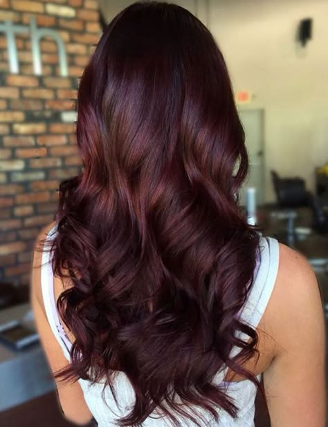 Long Curly Mahogany Hair                                                                                                                                                                                 More Pelo Color Borgoña, Pelo Color Vino, Mahogany Brown Hair, Red Brown Hair Color, Wine Hair Color, Balayage Straight Hair, Dark Red Hair Color, Hair Color Mahogany, Mahogany Hair