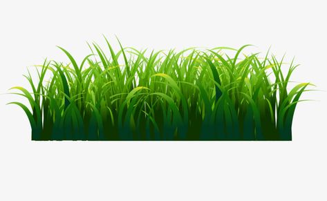 Grass Template, Green Grass Png, Grass Clip Art, Grass Png, Cartoon Grass, Grass Clipart, Grass Drawing, Grass Design, Hand Clipart