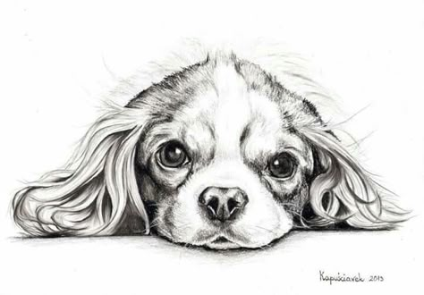 Oreo Drawing, Cavalier Drawing, Pet Portrait Tattoos, Dog Sketches, Drawing Dogs, Portrait Tattoos, Spaniel Art, Cavalier King Charles Dog, Cavalier Spaniel