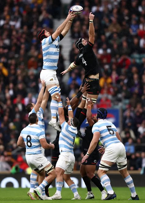 El desafío de los Pumas después de Twickenham: cómo pasar de las epopeyas a los éxitos frecuentes - LA NACION Rugby Aesthetic, Rugby Wallpaper, Argentina Rugby, Rugby Art, Rugby Games, All Blacks Rugby, Rugby Sport, Ball Aesthetic, Interpersonal Communication