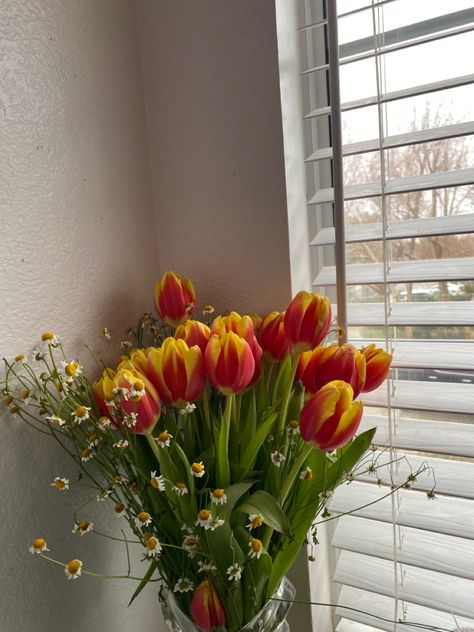 red, yellow, green flowers. tulips and chamomile Red Tulips Aesthetic Wallpaper, Red And Yellow Aesthetic, Grad Flowers, Red Tulips Bouquet, Red And Yellow Tulips, Yellow Green Flowers, Daffodil Bouquet, Red And Yellow Flowers, Yellow Bouquets