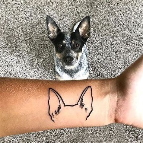 @australiancattledog.igMe: My, what big ears you have! Scout: All the better to hear you with 🐺 For my dog who comes sprinting if you just whisper her name from another room… I can’t imagine a better tribute. I love you forever. Via: @paws.andreflect Dog tattoo Blue Heeler Tattoo, Heeler Tattoo, Pet Tattoos, Horse Tattoo Design, Rose Drawing Tattoo, Tribute Tattoos, Tattoos For Dog Lovers, Dog Memorial Tattoos, Colorful Hairstyles