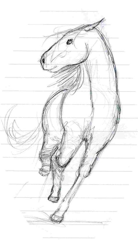 Horse Drawing Front View, Horse Running Front View, Rdr2 Poster, Running Front View, Horse Running Drawing, Horse Draw, Horse Sketches, Horses Drawing, Horse Drawing Tutorial