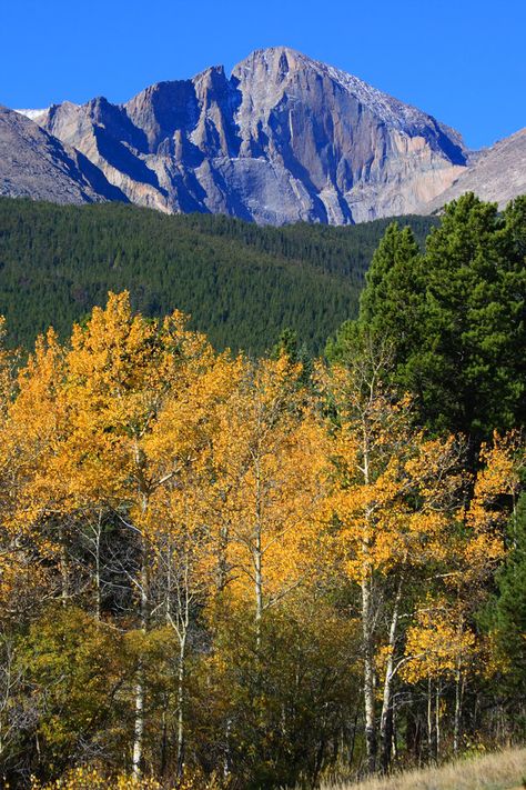 Longs Peak Colorado, Longs Peak, Colorado Photography, Fall Road Trip, Mountain Peak, Colorado Homes, Colorado Mountains, Beautiful Places Nature, Autumn Colors