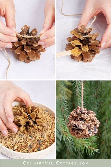 See how to make pinecone bird feeders! DIY pine cone bird feeders are a fun activity for all ages and help get your feathery friends well through winter. This easy tutorial shows how to make bird feeders with and without peanut butter and shares tips for hanging the pinecones safely. Peanut free alternatives are Crisco, suet, lard, vegetable shortening, or honey. This pinecone craft is an easy project for kids and preschool and makes a great homemade Christmas gift. | CountryHillCottage.com Diy Bird Seed Ornaments, Pinecone Bird Feeder, Diy Bird Seed, Bird Seed Crafts, Bird Feeders For Kids To Make, Seed Ornaments, Pine Cone Bird Feeder, Make A Bird Feeder, Pinecone Crafts Kids