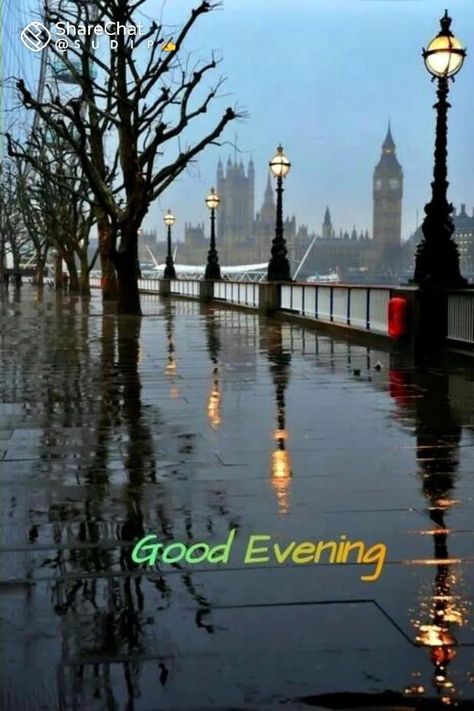 Good Evening Rainy Images, Good Evening Love, Evening Wishes, Good Evening Wishes, Blossom Wallpaper, Cherry Blossom Wallpaper, Evening Greetings, Good Morning Animation, Scenery Nature