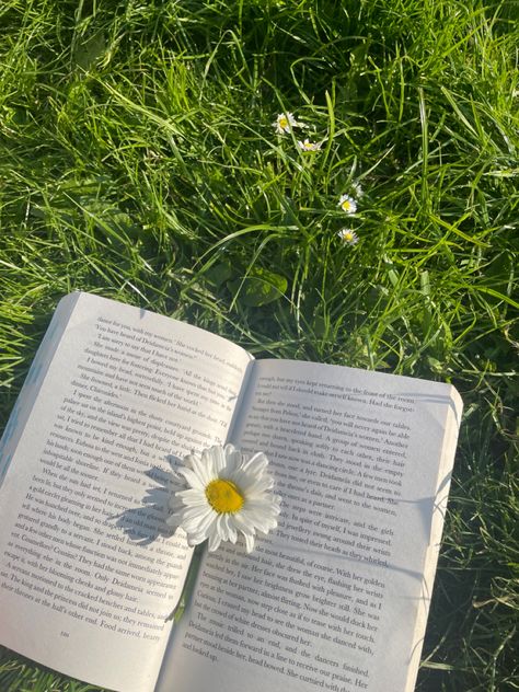 Sentences Aesthetic, Book Sentences, Aesthetic Book Reading, Reading Pics, Grass Aesthetic, Simple English Sentences, Reading Summer, The Song Of Achilles, Song Of Achilles