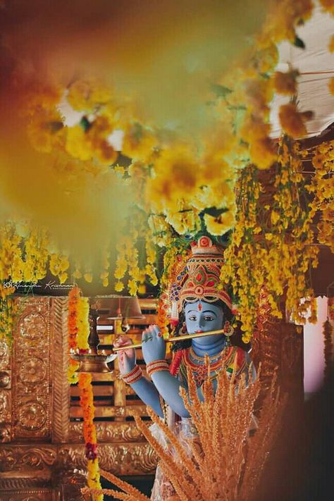 Lord Krishna Vishu Kani, Vishu Images Hd, Vishu Kani Photography, Vishu Aesthetic, Vishu Kani Decoration Ideas, Vishu Status, Happy Vishu Images, Vishu Images, Vishu Greetings