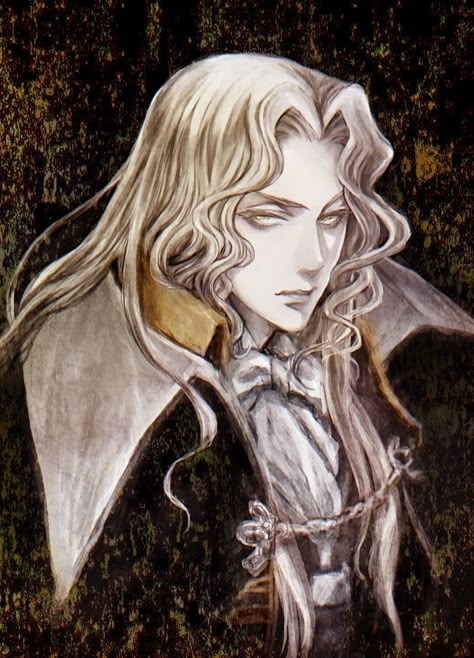 Alucard Castlevania, Castlevania Wallpaper, Castlevania Anime, Vampire Hunter D, Vampire Art, Vampire Hunter, Gothic Art, Dracula, Dark Fantasy Art