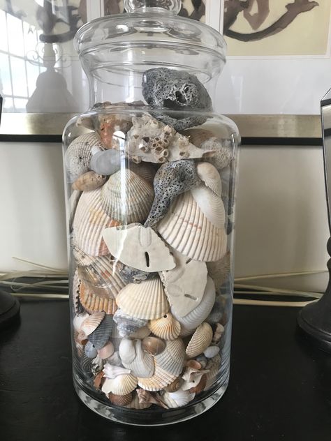 Jar Room Decor, Seashell Jar, Seashells Aesthetic, Apartment 2023, Room Collage, Sea Stones, Beachy Room, Beach Stuff, Sea Shore