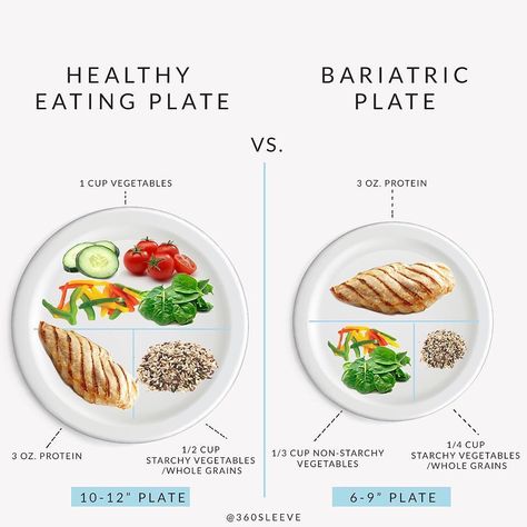 @360sleeve on Instagram: “How is a bariatric plate different from a typical healthy eating plate ? 1. Bariatric portion is smaller 2. Healthy eating plate-…” Bariatric Plate, Low Calorie Foods List, Wls Diet, Small Plates Recipes, Bariatric Recipes Sleeve, Healthy Eating Plate, Healthy Plate, Bariatric Eating, Protein Intake