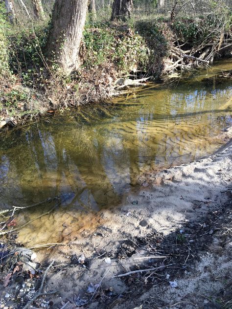 The Way These Sand Dunes Formed in the Stagnant water Stagnant Water, Swamp Water, Sand Dunes, Advertising Campaign, Drawing Inspiration, Brooklyn, The Way, Pen, London