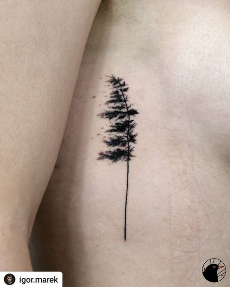 Couples Nature Tattoos, Tree And Flower Tattoo, Loblolly Pine Trees Tattoo, Tree Tattoos For Women Arm, Windswept Pine Tattoo, Pine Tree Spine Tattoo, Pine Tree Tattoo Back, Pine Tree Tattoo Designs, Single Line Pine Tree Tattoo