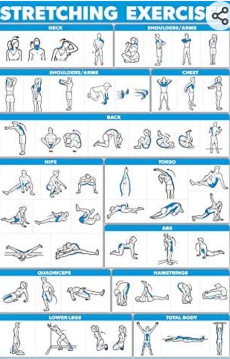 Best Stretching Exercises, Exercise Poster, Stretch Routine, Workout Posters, Workout Chart, Pose Yoga, Stretching Exercises, Cycling Workout, Dumbbell Workout