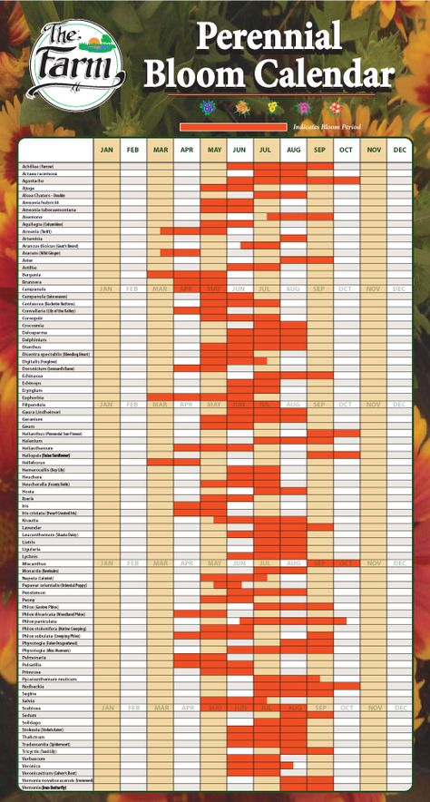 Best Plants For Colorado Garden, Bloom Time Chart, Perennial Bloom Chart, Zone 6 Planting Schedule Flower, Bloom Calendar, Perennial Garden Ideas, Perennial Garden Plans, Flower Garden Plans, Lawn And Landscape