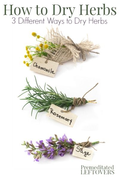 How to Dry Herbs and flowers - 3 ways to dry herbs Preserving Herbs, Hanging Herbs, Dry Herbs, Types Of Herbs, Herbs And Flowers, Have Inspiration, Healing Herbs, Growing Herbs, Green Life